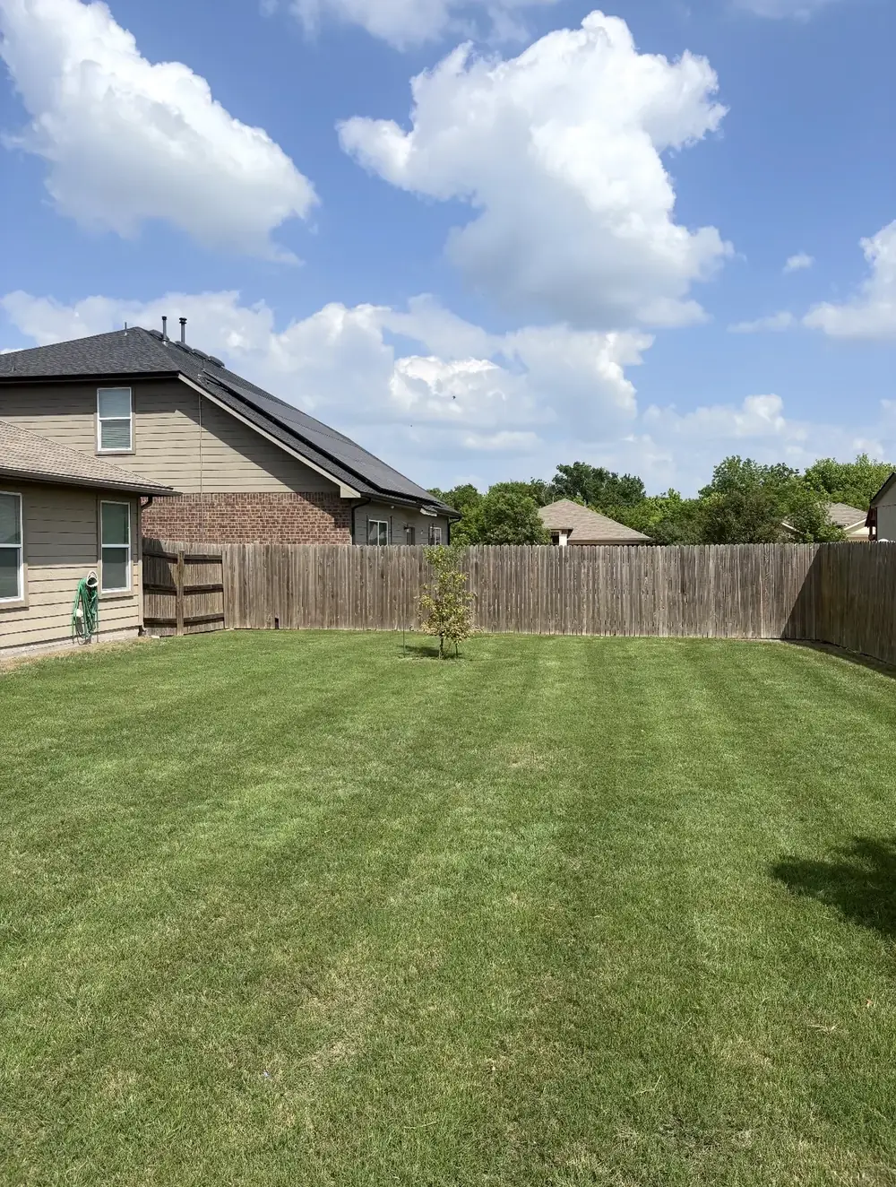 Freshly mowed backyard with clean stripes